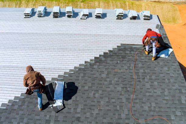 Best Shingle Roofing Installation  in Stevensville, MD