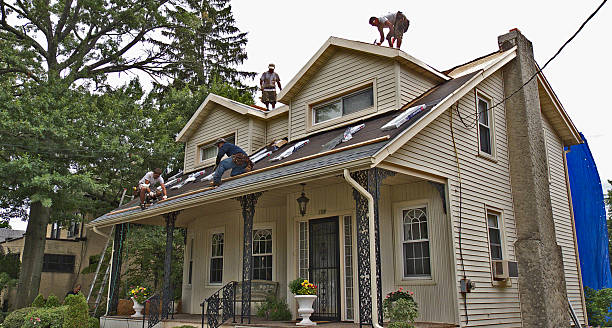 Best Storm Damage Roof Repair  in Stevensville, MD